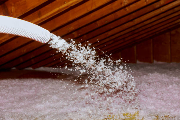 Best Residential Insulation in Eleanor, WV